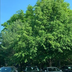 Meet your Posher, Manuela